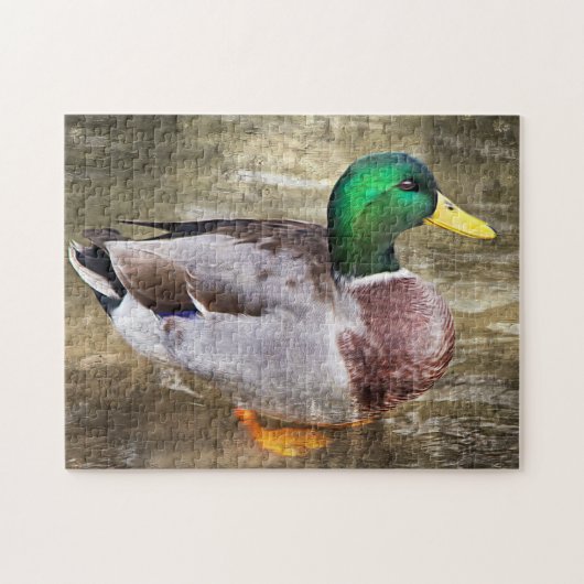 Portret van een mannelijke mallard legpuzzel (Horizontaal)