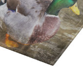 Portret van een mannelijke mallard snijplank (Hoek)