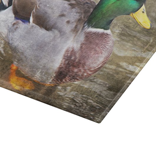 Portret van een mannelijke mallard snijplank (Hoek)