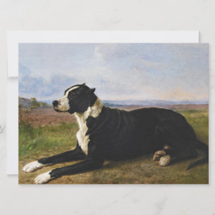 Portret van een Mastiff Labrador-hond (Rosa Bonheu Kaart