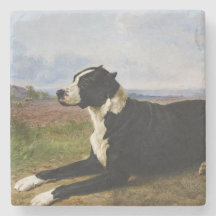 Portret van een Mastiff Labrador-hond (Rosa Bonheu