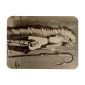 Portret van een Native American van 'Buffalo Bill' Magneet (Horizontaal)