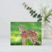 Portret van een Newborn Fawn (witstaarhert) Briefkaart (Staand voorkant)