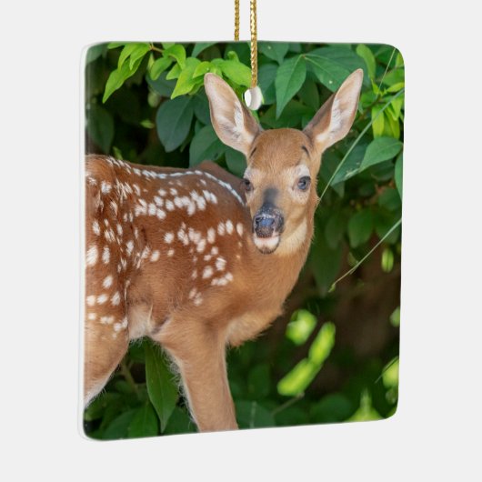 Portret van een Newborn Fawn (witstaarhert) Keramisch Ornament (Rechts)