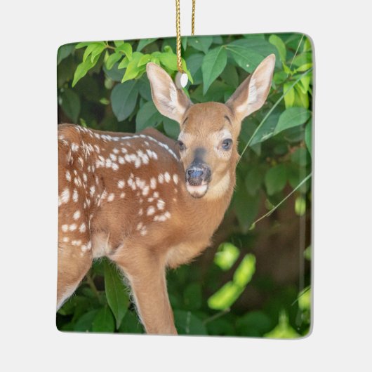 Portret van een Newborn Fawn (witstaarhert) Keramisch Ornament (Links)