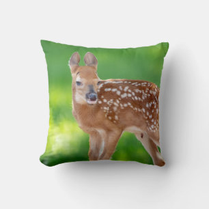 Portret van een Newborn Fawn (witstaarhert) Kussen