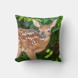 Portret van een Newborn Fawn (witstaarhert) Kussen