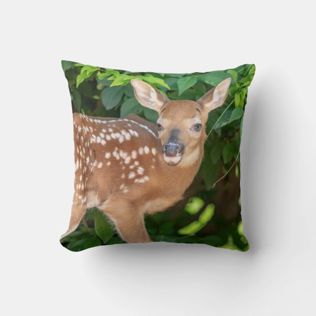 Portret van een Newborn Fawn (witstaarhert) Kussen (Voorkant)