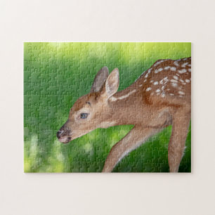 Portret van een Newborn Fawn (witstaarhert) Legpuzzel