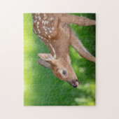 Portret van een Newborn Fawn (witstaarhert) Legpuzzel (Verticaal)