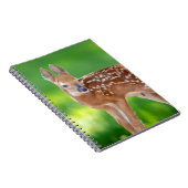 Portret van een Newborn Fawn (witstaarhert) Notitieboek (Rechterzijde)