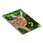Portret van een Newborn Fawn (witstaarhert) Notitieboek (Rechterzijde)