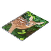 Portret van een Newborn Fawn (witstaarhert) Notitieboek (Linkerzijde)