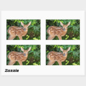 Portret van een Newborn Fawn (witstaarhert) Rechthoekige Sticker (Vel)