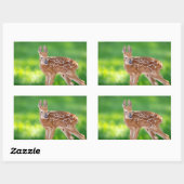 Portret van een Newborn Fawn (witstaarhert) Rechthoekige Sticker (Vel)