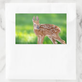 Portret van een Newborn Fawn (witstaarhert) Rechthoekige Sticker (Tas)