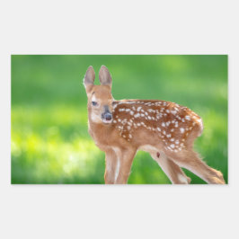 Portret van een Newborn Fawn (witstaarhert) Rechthoekige Sticker