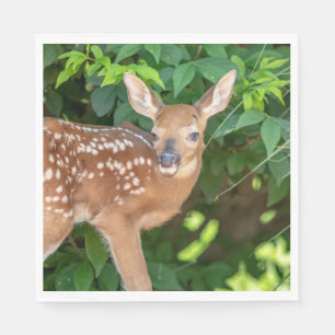 Portret van een Newborn Fawn (witstaarhert) Servet