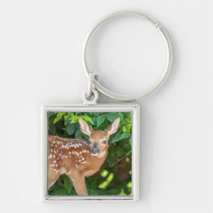 Portret van een Newborn Fawn (witstaarhert) Sleutelhanger