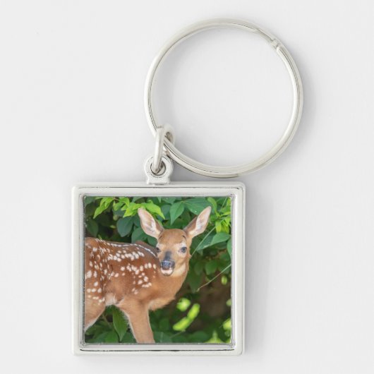 Portret van een Newborn Fawn (witstaarhert) Sleutelhanger (Voorkant)