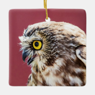 Portret van een noordelijke zaagbekuil keramisch ornament