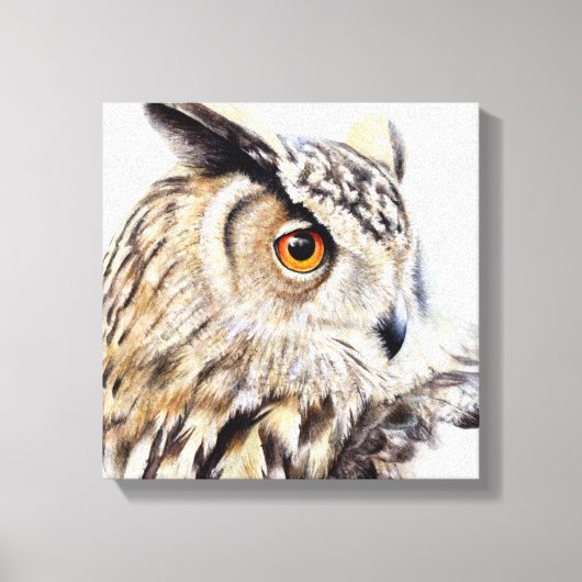 Portret van een oehoe in doos canvas print (Voorkant)