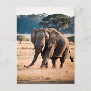 Portret van een olifant briefkaart