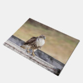 Portret van een onvolgroeide Red Tailed Hawk Deurmat (Schuin)