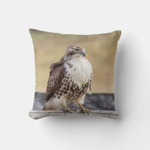 Portret van een onvolgroeide Red Tailed Hawk Kussen