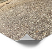 Portret van een ooievaar poster (Hoek)