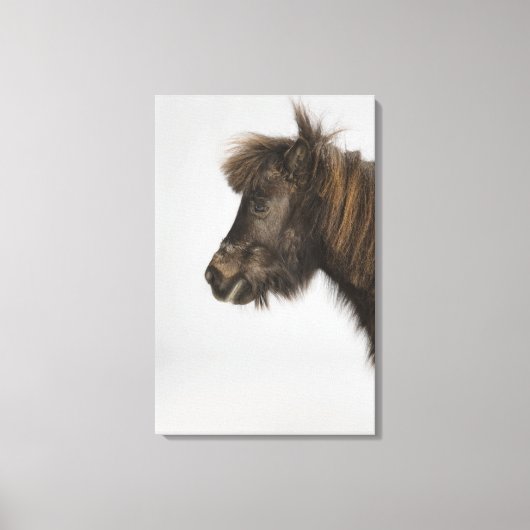 portret van een paard canvas afdruk (Voorkant)