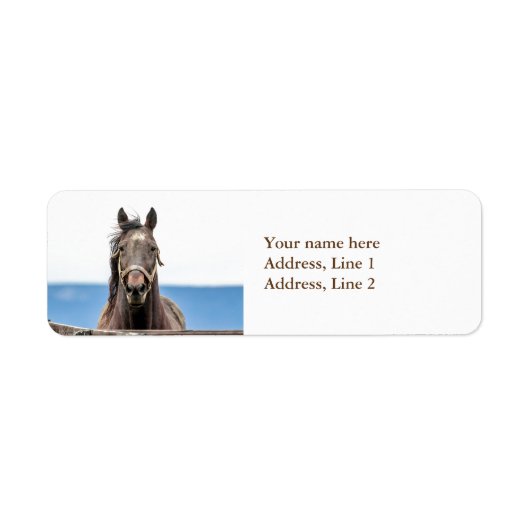 Portret van een paard etiket (Voorkant)