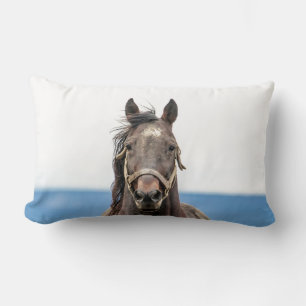 Portret van een paard kussen