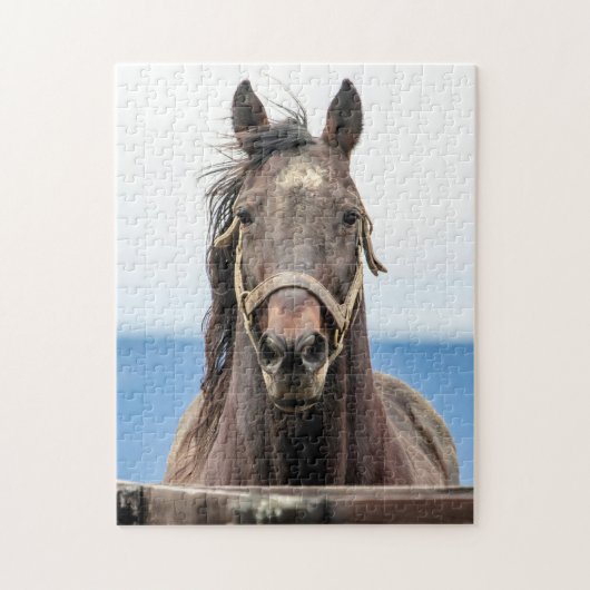Portret van een paard legpuzzel (Verticaal)