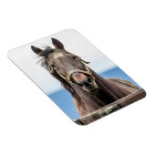 Portret van een paard magneet (Rechterzijde)