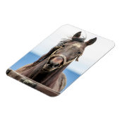 Portret van een paard magneet (Linkerzijde)