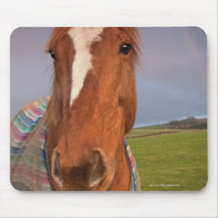 Portret van een paard met een regenboog in de heme muismat