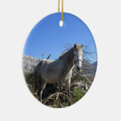 Portret van een paard ornament (Rechts)