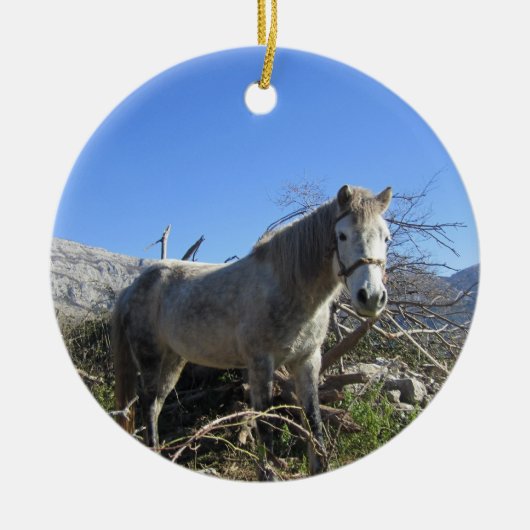Portret van een paard ornament (Voorkant)