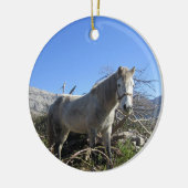Portret van een paard ornament (Links)