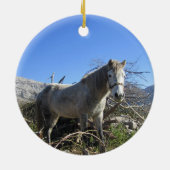 Portret van een paard ornament (Achterkant)