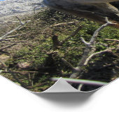 Portret van een paard poster (Hoek)