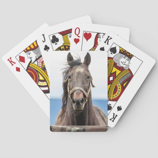 Portret van een paard speelkaarten (Achterkant)