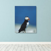 Portret van een papegaaiduiker canvas afdruk (Insitu (Houten vloer))