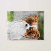 Portret van een papillon hond legpuzzel (Horizontaal)