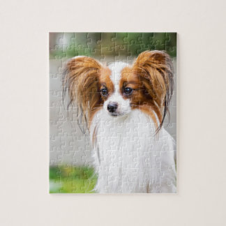 Portret van een papillonhond legpuzzel