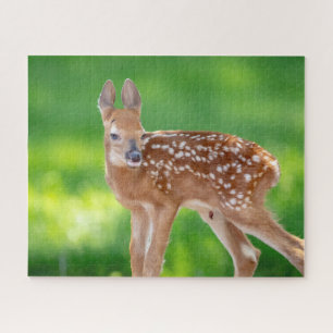 Portret van een pasgeboren hertenjong (witstaarthe legpuzzel
