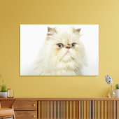 Portret van een Perzische kat Canvas Afdruk (Insitu (Woonkamer))