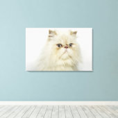 Portret van een Perzische kat Canvas Afdruk (Insitu (Houten vloer))