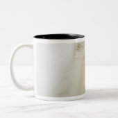 Portret van een Perzische kat Tweekleurige Koffiemok (Links)